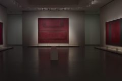  Vista dell'installazione dell'esposizione "Mark Rothko"